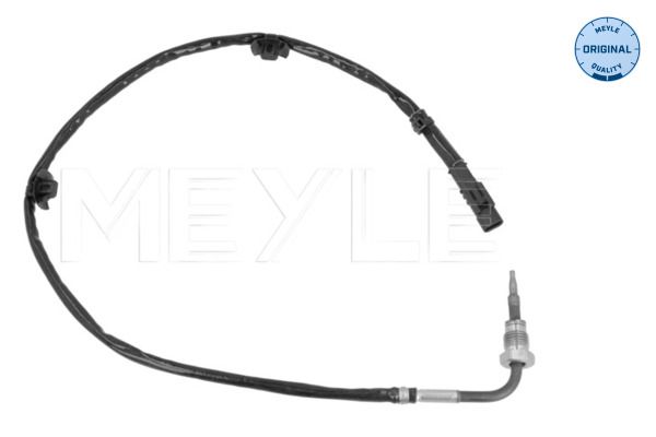 Sensor Abgastemperatur