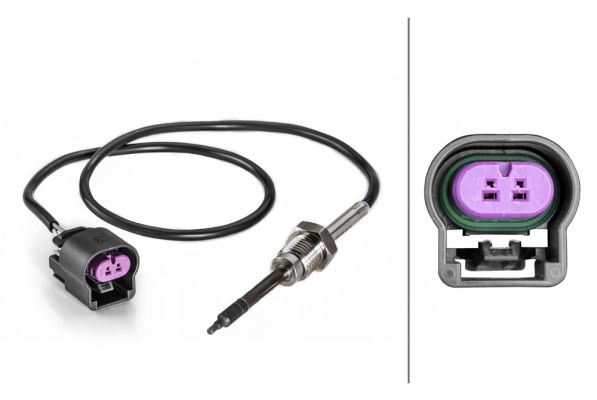 Sensor Abgastemperatur