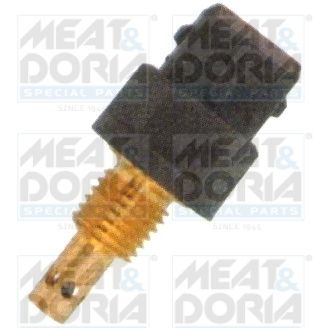 Sensor Ansauglufttemperatur