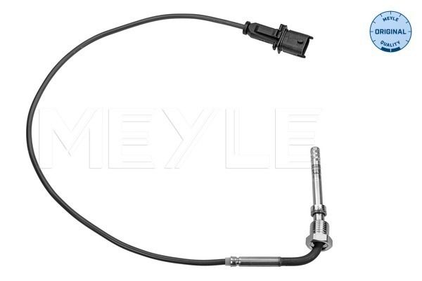 Sensor Abgastemperatur