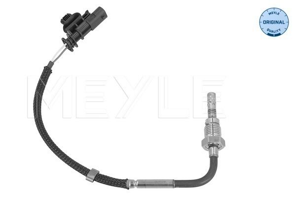 Sensor Abgastemperatur
