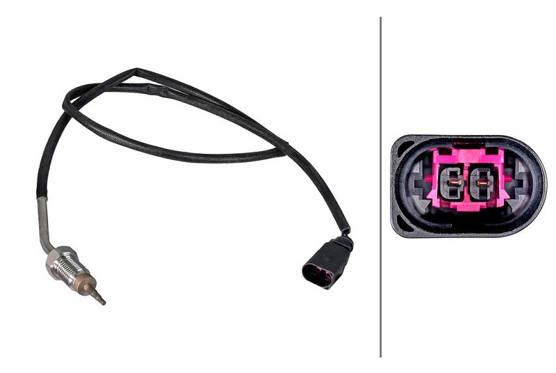 Sensor Abgastemperatur