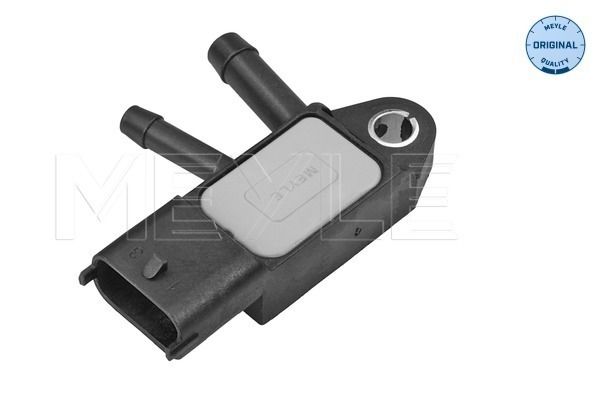 Abgasdrucksensor Differenzdruck