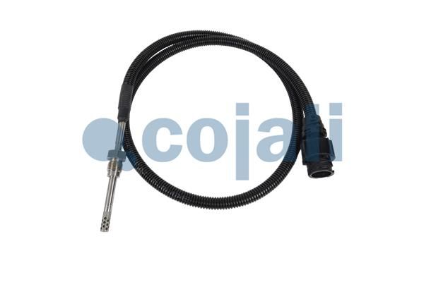 Sensor Abgastemperatur