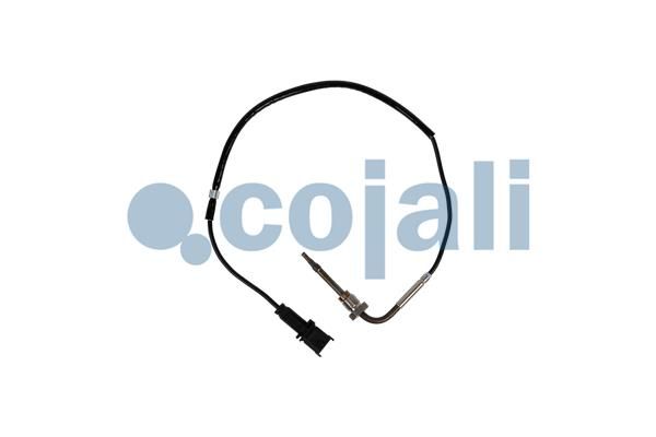 Sensor Abgastemperatur