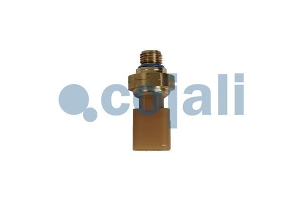 Sensor