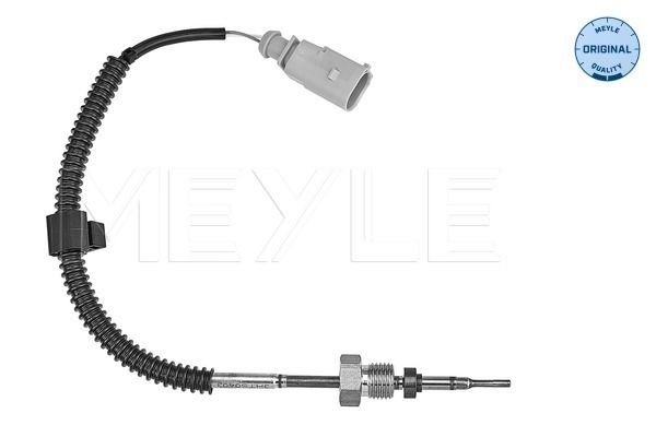 Sensor Abgastemperatur