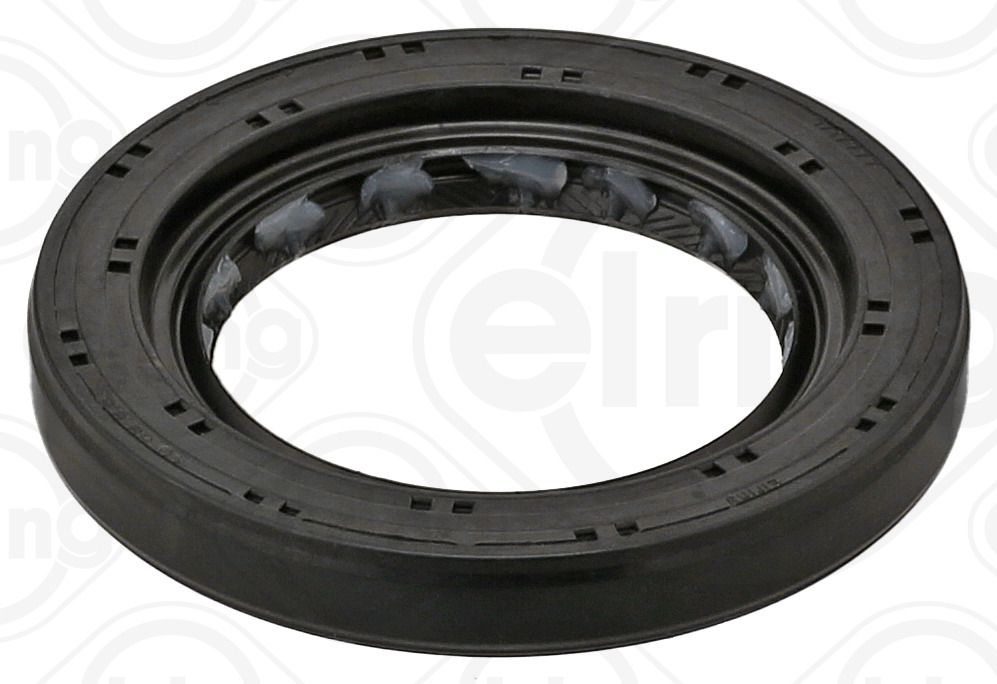 Wellen Dichtring Differential
