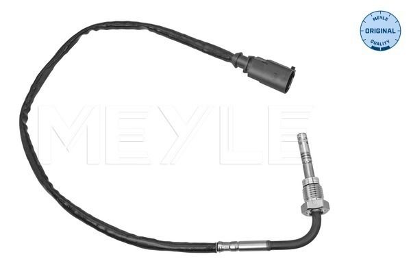 Sensor Abgastemperatur