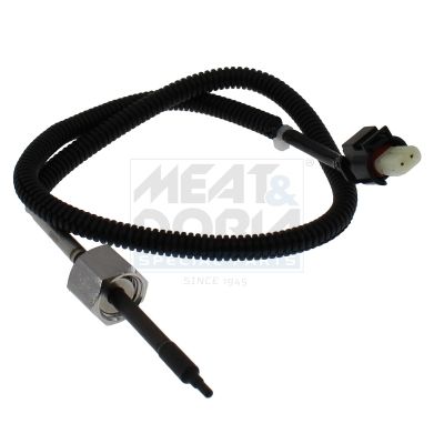 Sensor Abgastemperatur