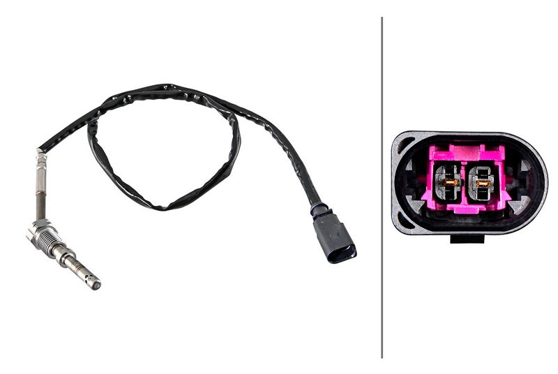 Sensor Abgastemperatur