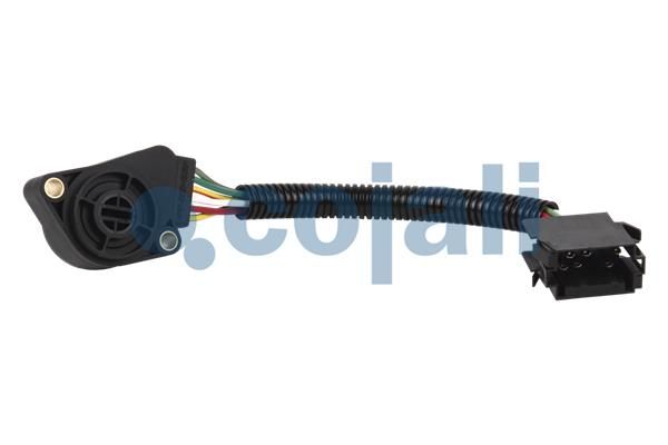 Sensor Fahrpedalstellung