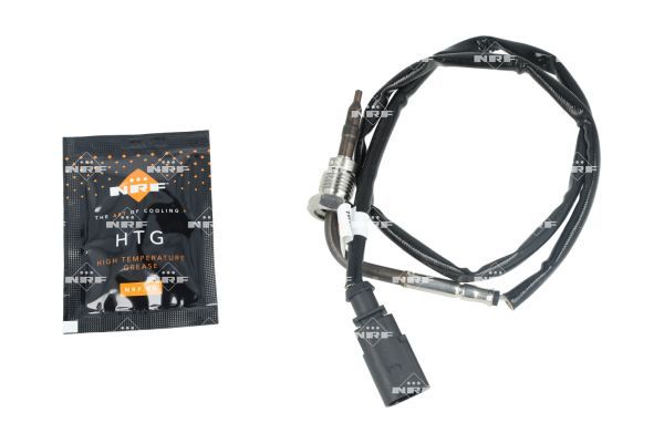 Sensor Abgastemperatur