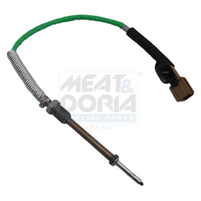 Sensor Abgastemperatur