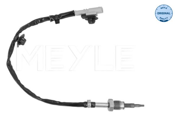 Sensor Abgastemperatur