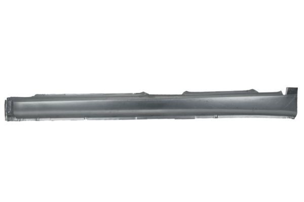 Einstiegsblech Schweller