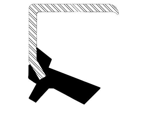 Wellen Dichtring Differential