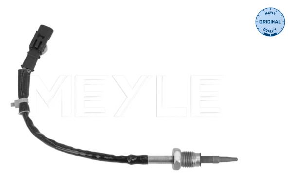 Sensor Abgastemperatur