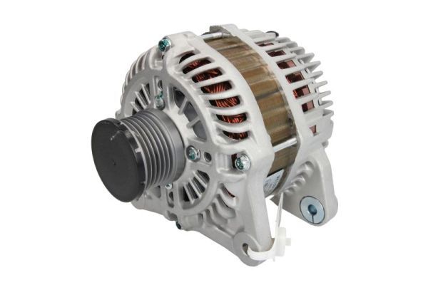 Lichtmaschine Generator