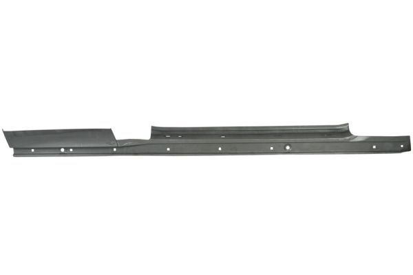 Einstiegsblech Schweller