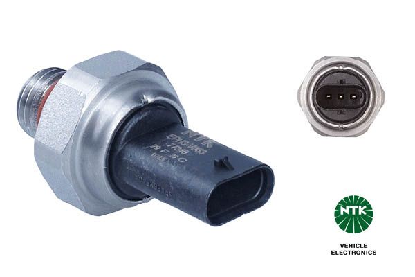 Abgasdrucksensor Differenzdruck