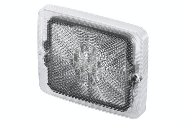 Lichtscheibe Rückfahrleuchte