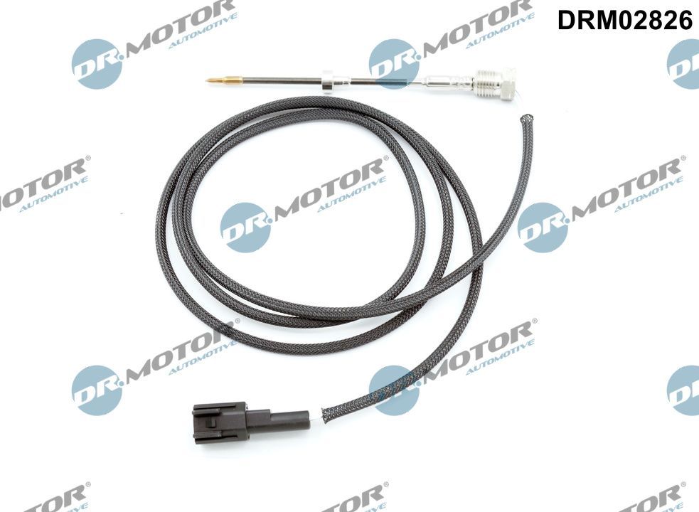 Sensor Abgastemperatur