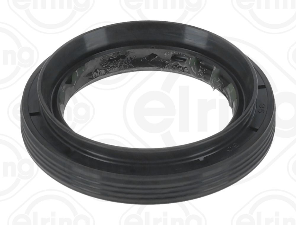 Wellen Dichtring Differential