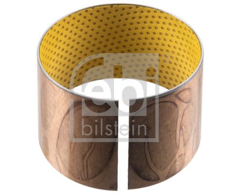 Federbuchs Blattfeder