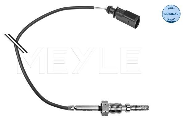 Sensor Abgastemperatur