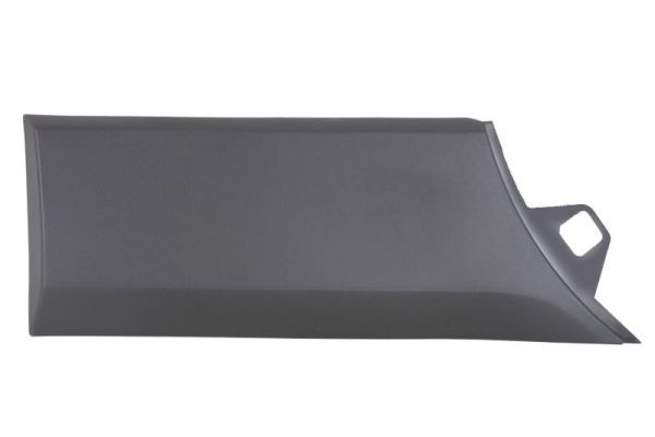 Body Strip
