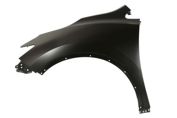 Set: 2 × Kotflügel vorne