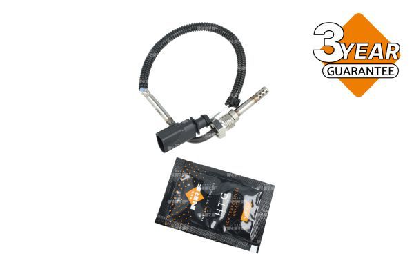 Sensor Abgastemperatur