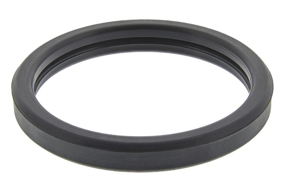 Dichtung Thermostat