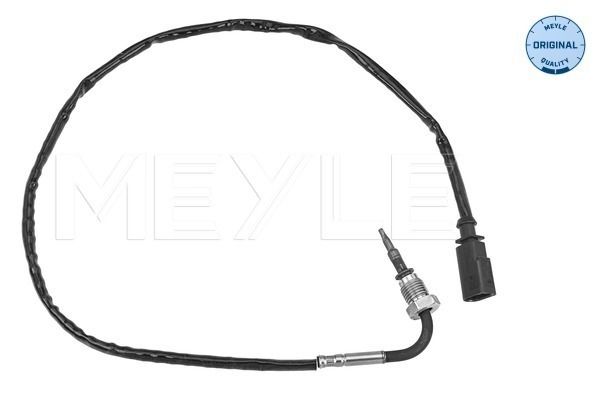Sensor Abgastemperatur