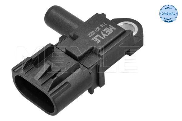 Abgasdrucksensor Differenzdruck