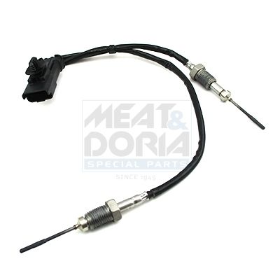 Sensor Abgastemperatur
