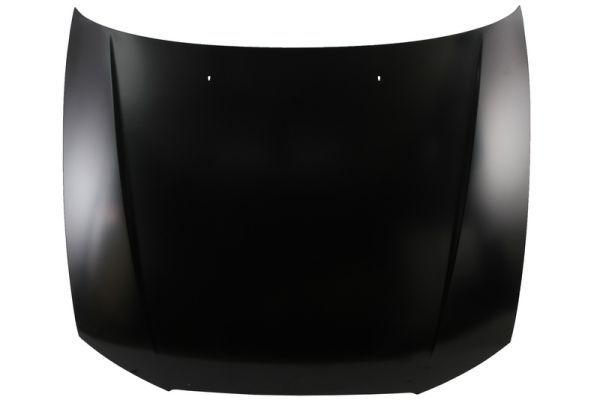 Motorhaube Haube