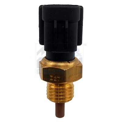 Sensor Ansauglufttemperatur