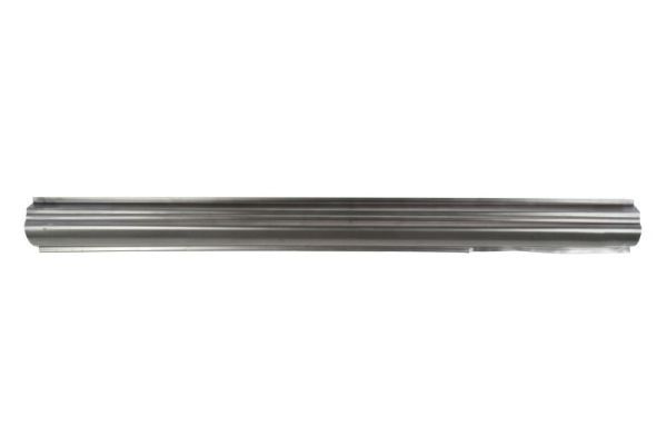 Einstiegsblech Schweller