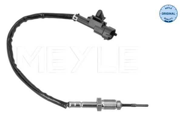 Sensor Abgastemperatur