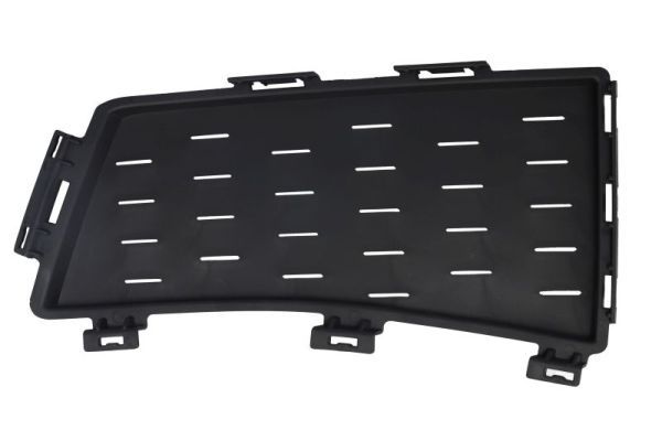 Stoßstange Gitter