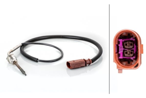 Sensor Abgastemperatur