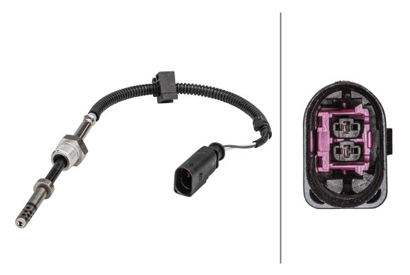 Sensor Abgastemperatur