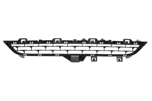 Stoßstange Gitter
