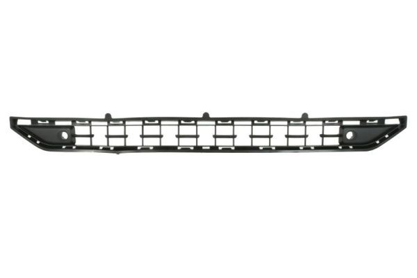 Stoßstange Gitter