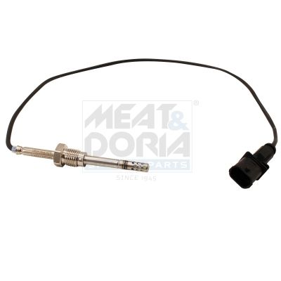 Sensor Abgastemperatur