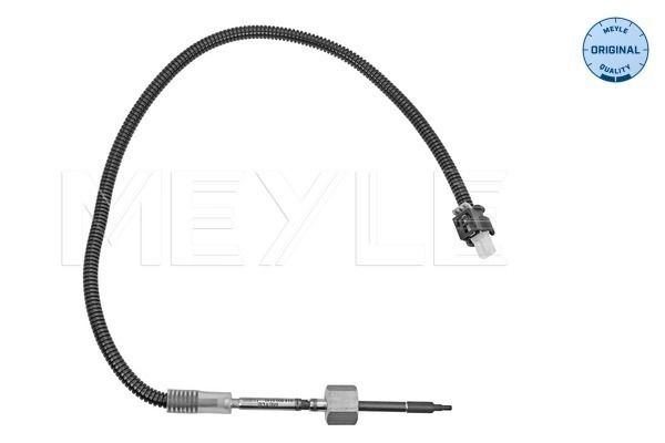 Sensor Abgastemperatur