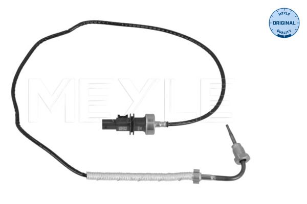 Sensor Abgastemperatur