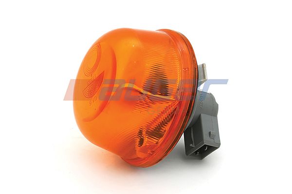 Blinker Blinkleuchte